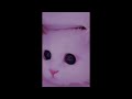 MONTAGEM MIAU (Slowed)