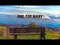 Keith Urban (feat. P!nk) - One Too Many  (Lyrics)