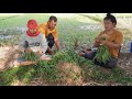 ตัดผักทั้งสวนออกขายทั้งครอบครัวช่วยกันสุดฝีมือ แม่ย่าก็อดไม่ไหว fcฝากคำถามถึงแม่ย่า?EP890