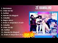 Zé Ramalho 2023 - 10 Maiores Sucessos - Sinônimos, Chão De Giz, Avôhai, Garoto De Aluguel